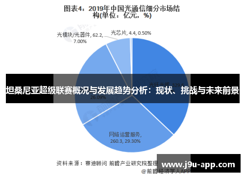 坦桑尼亚超级联赛概况与发展趋势分析：现状、挑战与未来前景