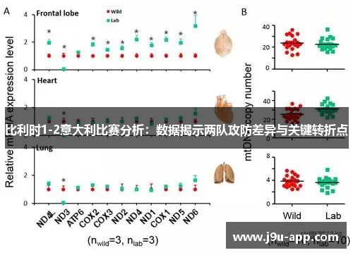 比利时1-2意大利比赛分析：数据揭示两队攻防差异与关键转折点